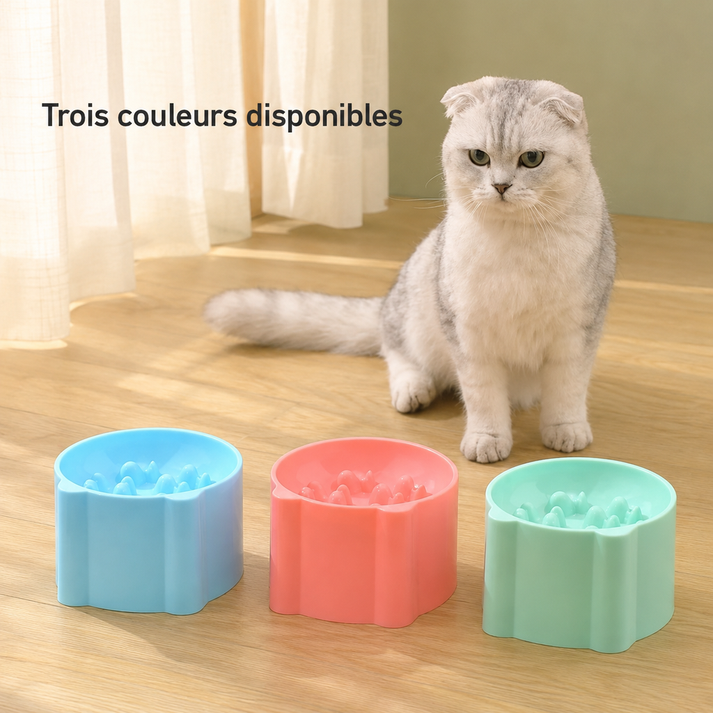 Gamelle anti-glouton pour chat et chien, design anti-étouffement