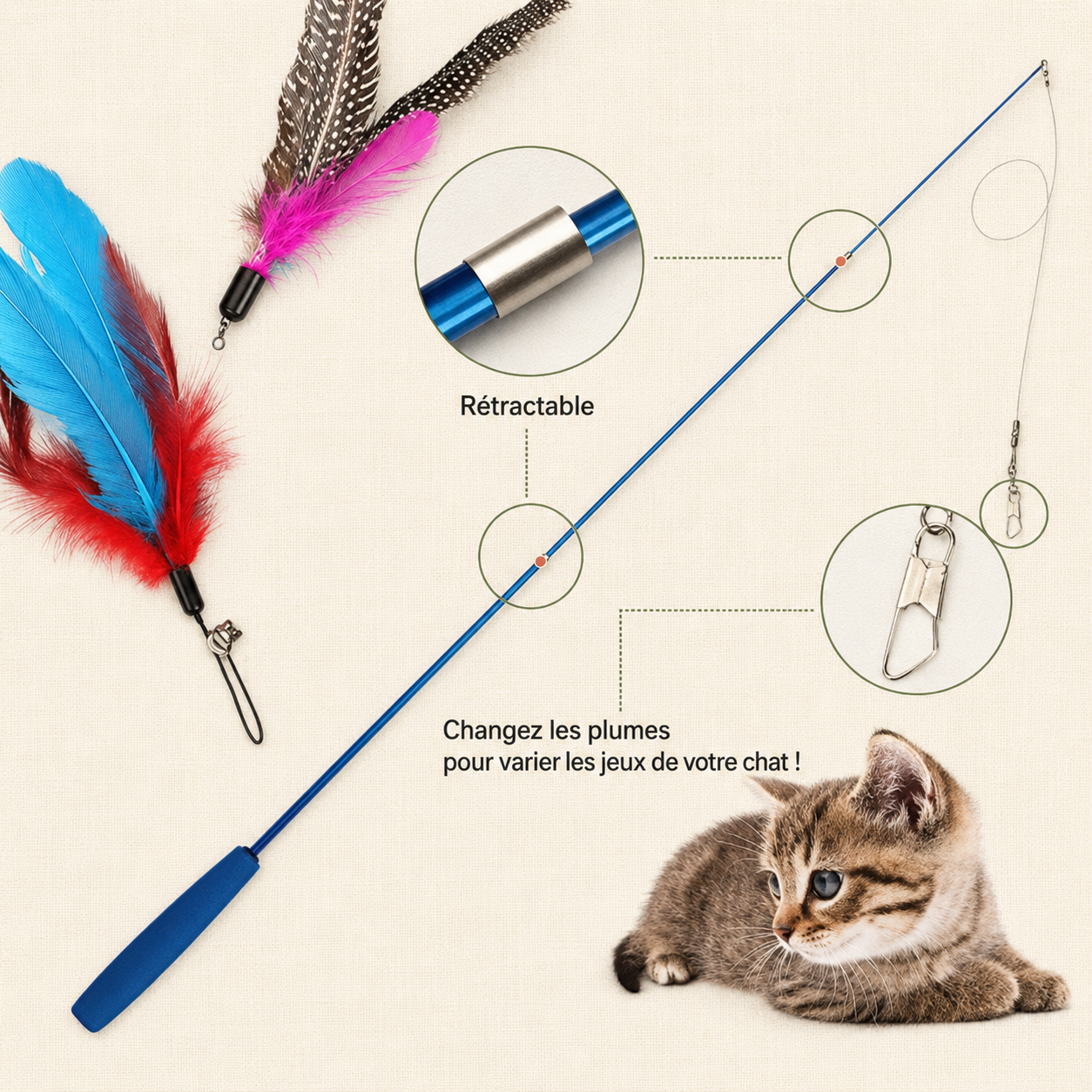 Canne à plumes interactive pour chat avec recharges