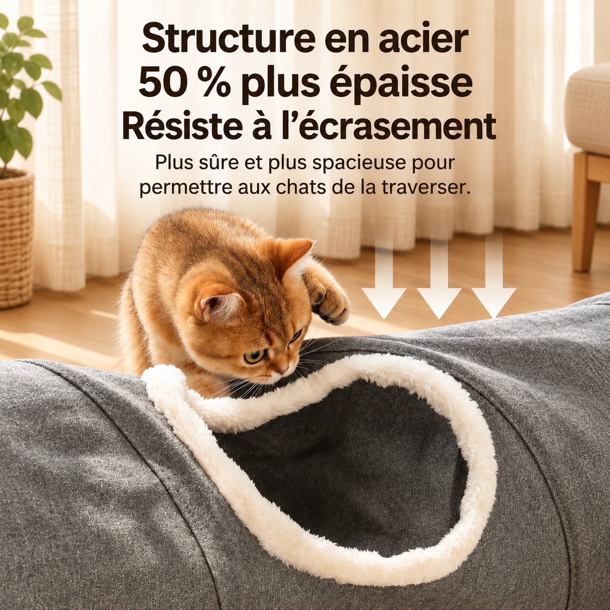 Tunnel de jeu pliable pour chat, 125 cm, modulable