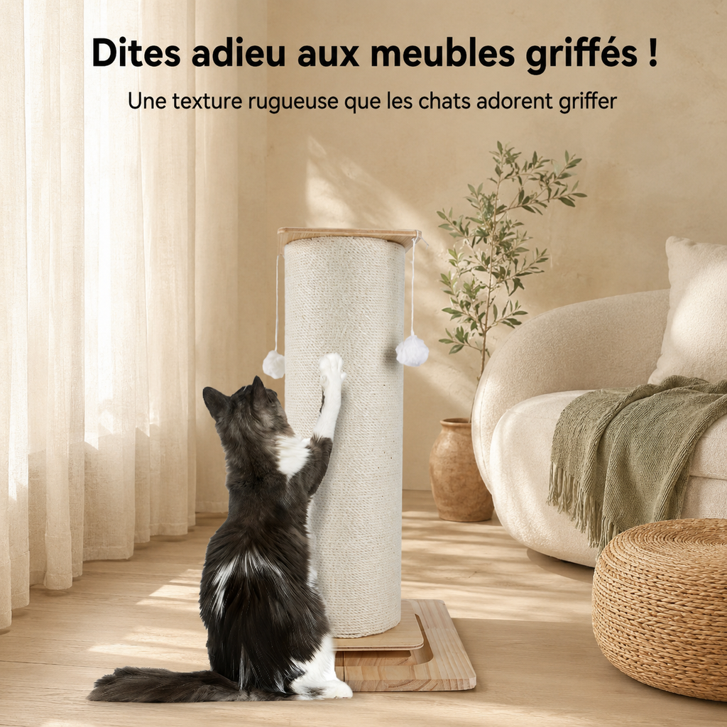 Griffoir sur pied avec balle suspendue et base élargie