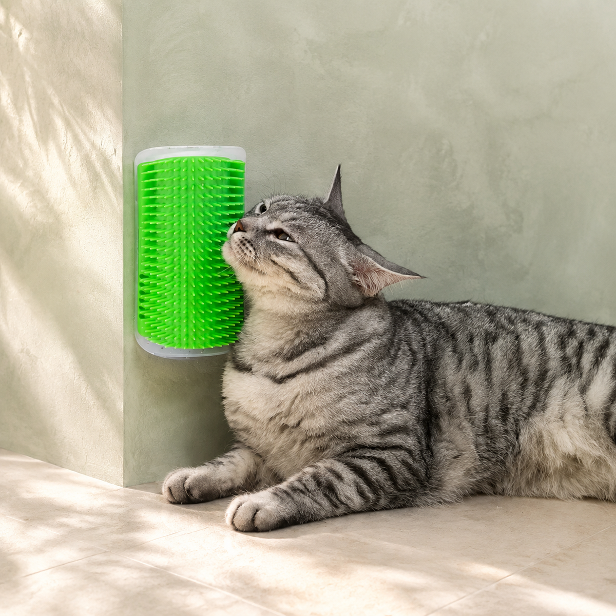 Brosse de massage murale auto-nettoyante pour chat